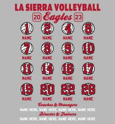 Volleyball Roster Designs - Ultra Ball Roster - idea-223u2